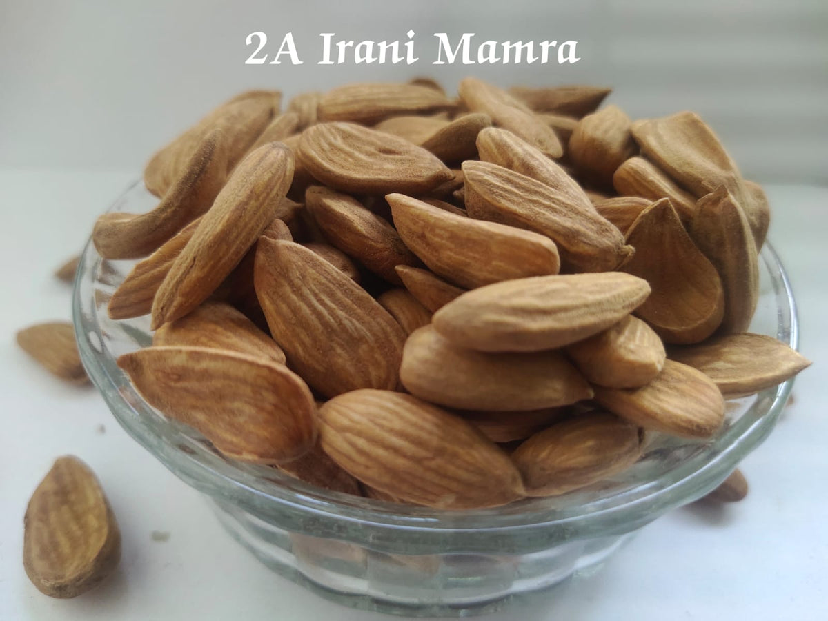 Irani 2A Mamra