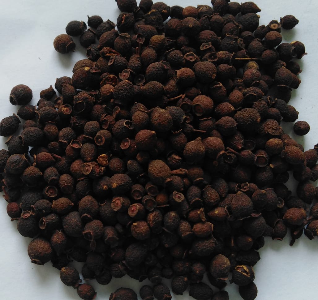 All Spice / Kabab Chini / Sarvasugandhi