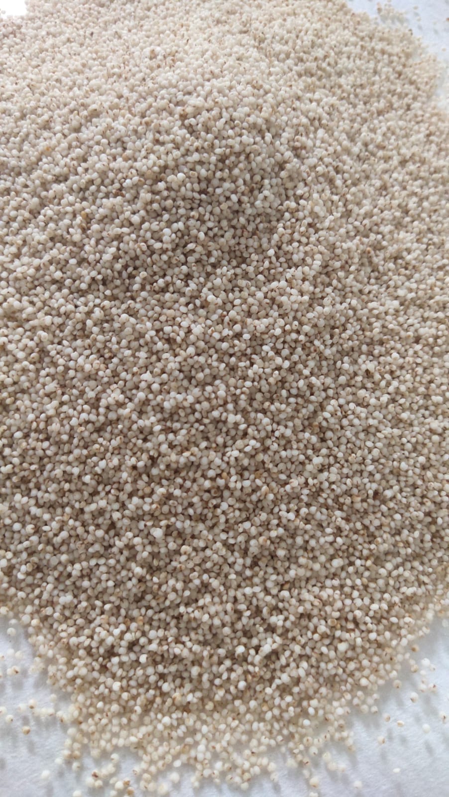 Barnyard Millet Whole