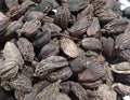 Black Cardamom
