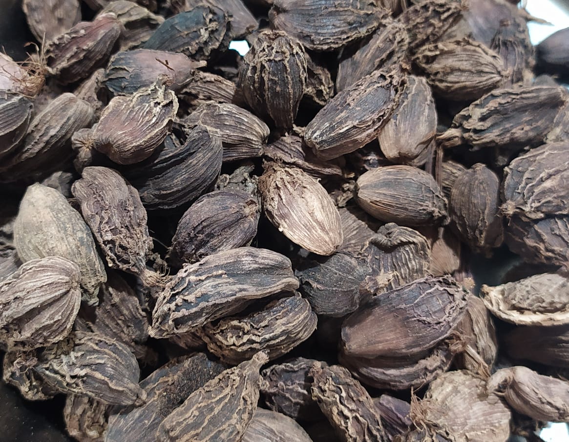Black Cardamom