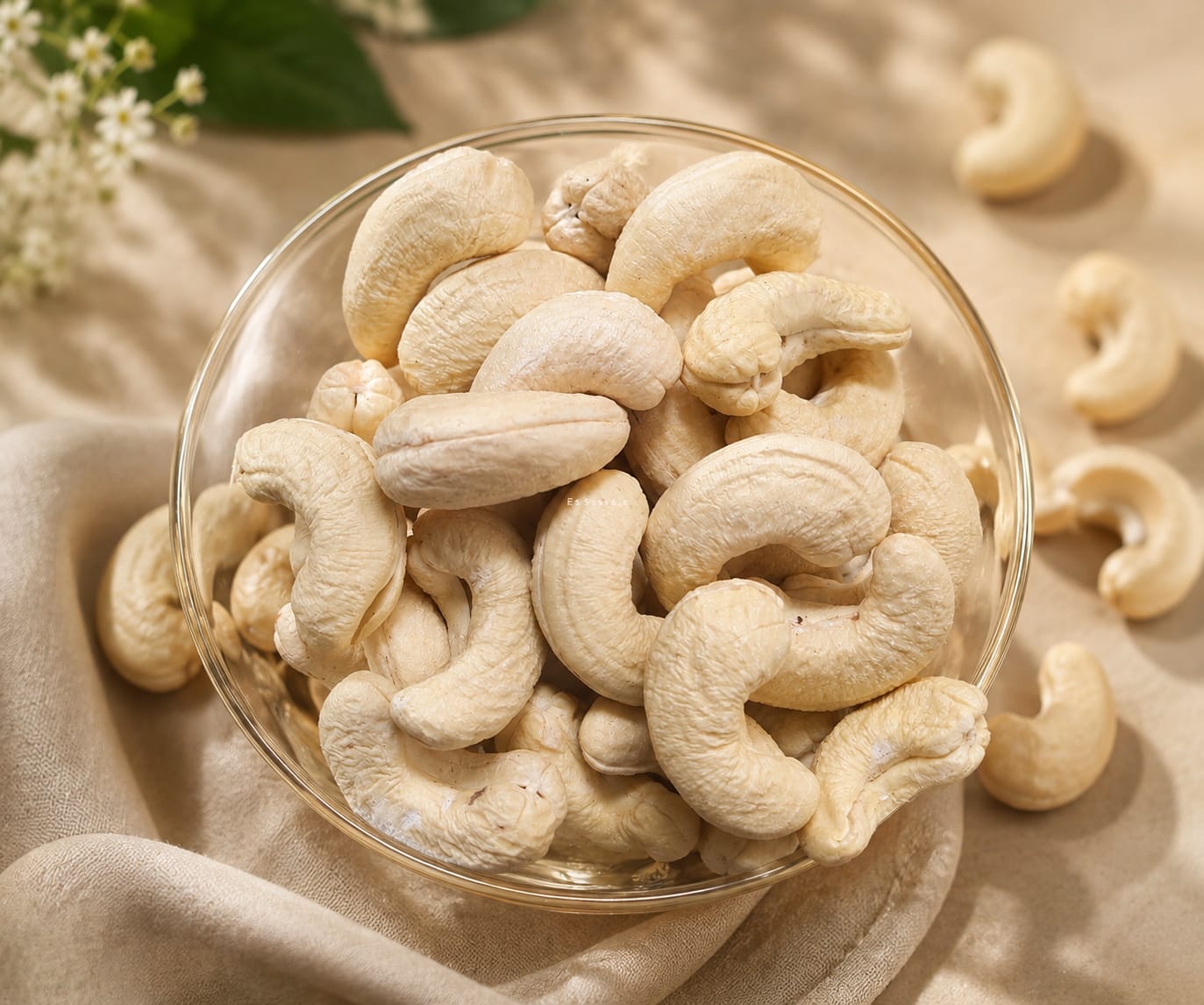 Konkan Cashew Premium