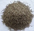 Jeera Clean and Premium