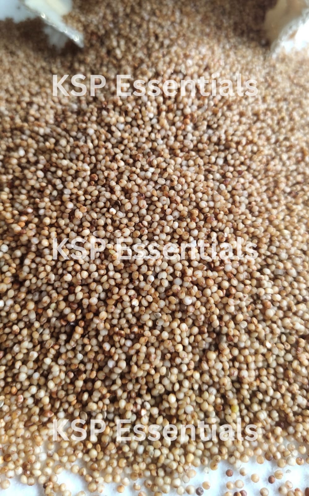 Kodo Millet Whole