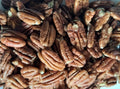 Pecan Nuts