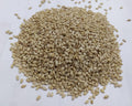 White Sesame Seeds (White Till)